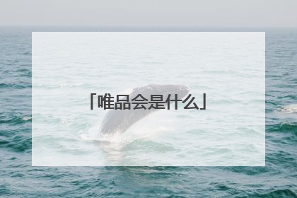 唯品会是什么
