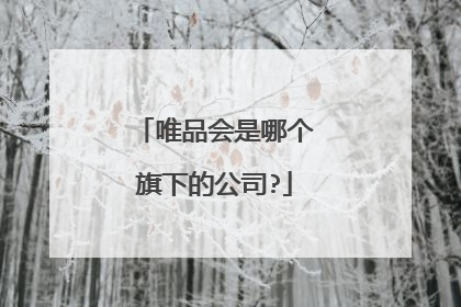 唯品会是哪个旗下的公司?