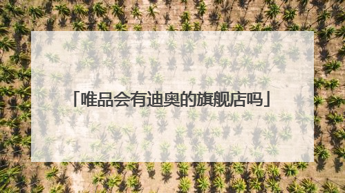 唯品会有迪奥的旗舰店吗