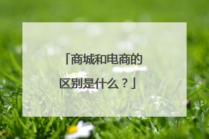 商城和电商的区别是什么？