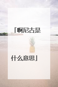 啊尼古是什么意思