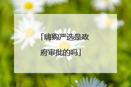 嗨购严选是政府审批的吗