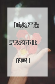 嗨购严选是政府审批的吗