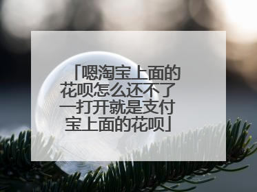 嗯淘宝上面的花呗怎么还不了一打开就是支付宝上面的花呗