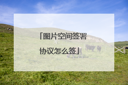 图片空间签署协议怎么签