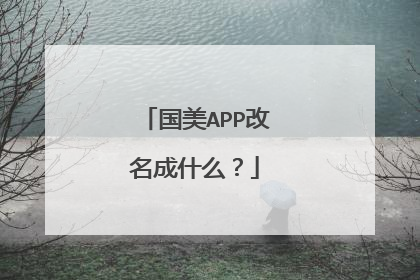 国美APP改名成什么?