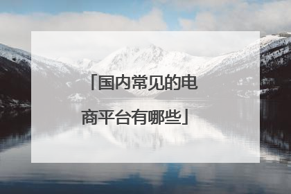国内常见的电商平台有哪些