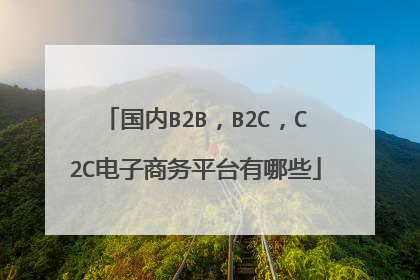 国内B2B,B2C,C2C电子商务平台有哪些