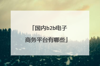 国内b2b电子商务平台有哪些