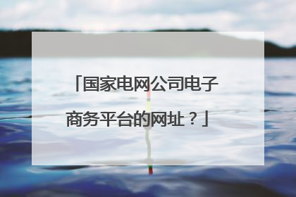 国家电网公司电子商务平台的网址?
