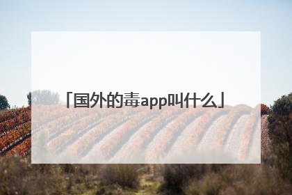 国外的毒app叫什么