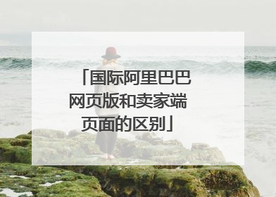 国际阿里巴巴网页版和卖家端页面的区别