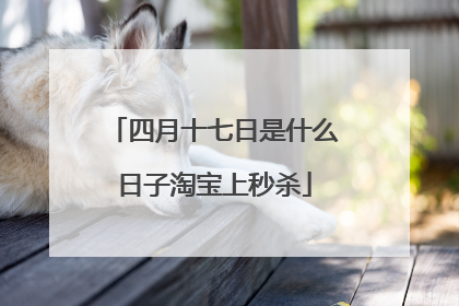 四月十七日是什么日子淘宝上秒杀