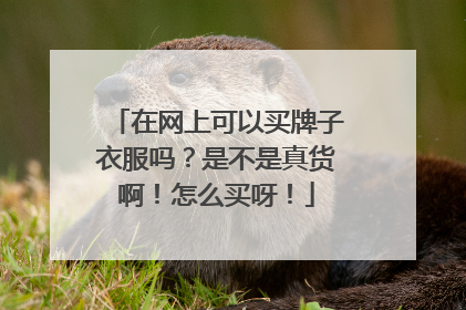 在网上可以买牌子衣服吗?是不是真货啊!怎么买呀!
