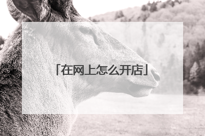 在网上怎么开店