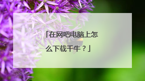 在网吧电脑上怎么下载千牛?