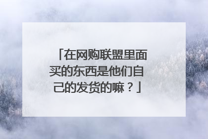 在网购联盟里面买的东西是他们自己的发货的嘛？
