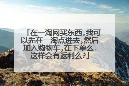 在一淘网买东西,我可以先在一淘点进去,然后加入购物车,在下单么.这样会有返利么?