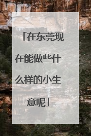 在东莞现在能做些什么样的小生意呢