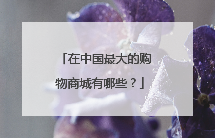 在中国最大的购物商城有哪些?