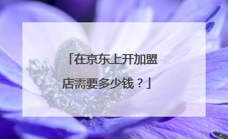 在京东上开加盟店需要多少钱？