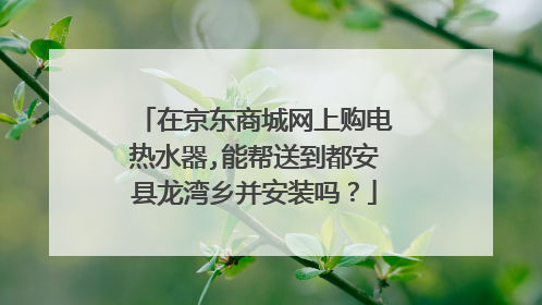 在京东商城网上购电热水器,能帮送到都安县龙湾乡并安装吗？