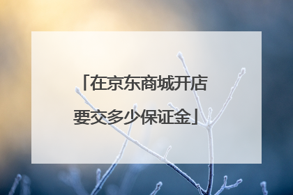 在京东商城开店要交多少保证金