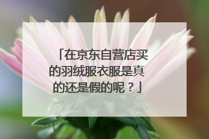 在京东自营店买的羽绒服衣服是真的还是假的呢?