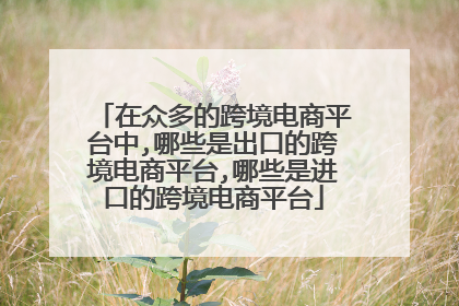 在众多的跨境电商平台中,哪些是出口的跨境电商平台,哪些是进口的跨境电商平台