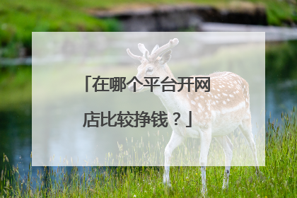 在哪个平台开网店比较挣钱?