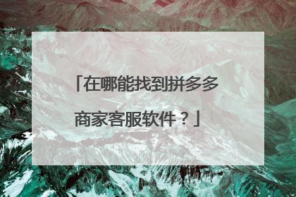 在哪能找到拼多多商家客服软件?