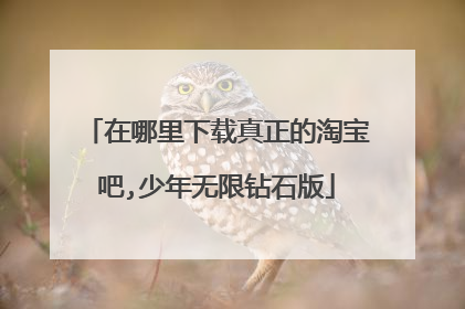 在哪里下载真正的淘宝吧,少年无限钻石版
