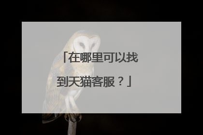 在哪里可以找到天猫客服？