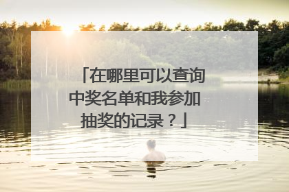 在哪里可以查询中奖名单和我参加抽奖的记录?