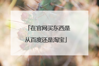 在官网买东西是从百度还是淘宝