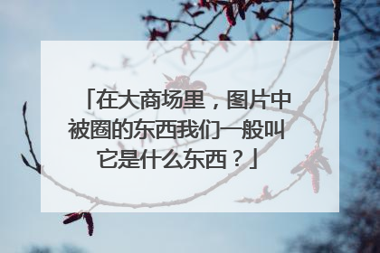在大商场里,图片中被圈的东西我们一般叫它是什么东西?