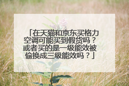 在天猫和京东买格力空调可能买到假货吗?或者买的是一级能效被偷换成三级能效吗?