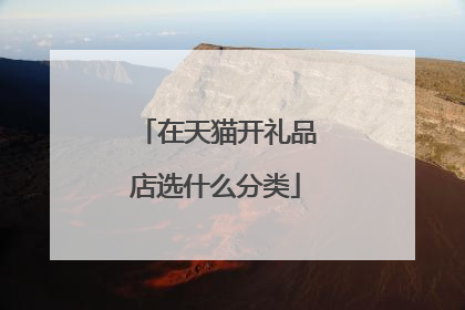 在天猫开礼品店选什么分类