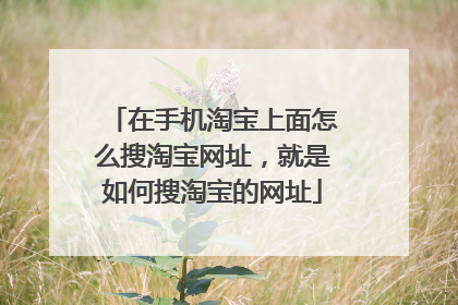 在手机淘宝上面怎么搜淘宝网址,就是如何搜淘宝的网址