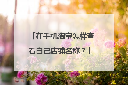在手机淘宝怎样查看自己店铺名称?