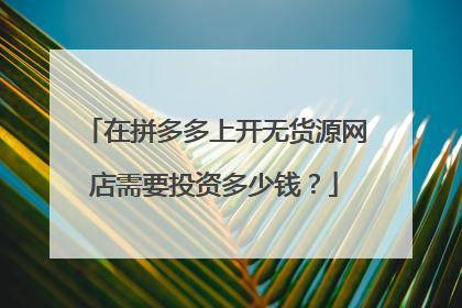 在拼多多上开无货源网店需要投资多少钱?