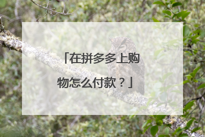 在拼多多上购物怎么付款?