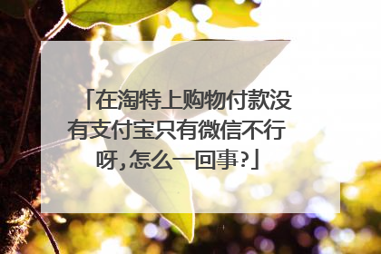 在淘特上购物付款没有支付宝只有微信不行呀,怎么一回事?