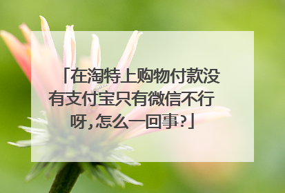在淘特上购物付款没有支付宝只有微信不行呀,怎么一回事?