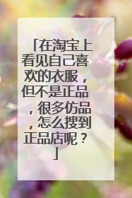 在淘宝上看见自己喜欢的衣服,但不是正品,很多仿品,怎么搜到正品店呢?