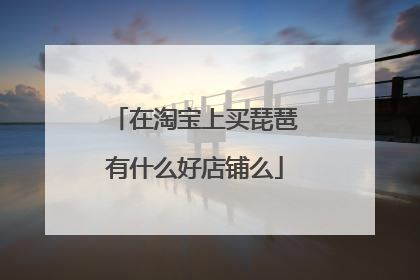 在淘宝上买琵琶有什么好店铺么