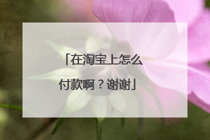 在淘宝上怎么付款啊?谢谢