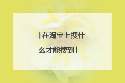 在淘宝上搜什么才能搜到