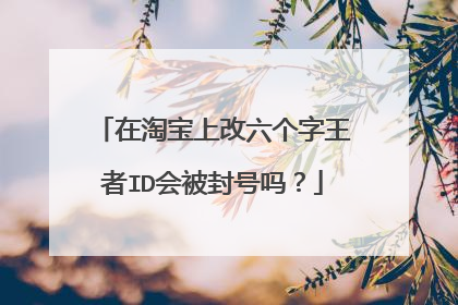 在淘宝上改六个字王者ID会被封号吗?