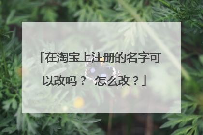 在淘宝上注册的名字可以改吗? 怎么改?